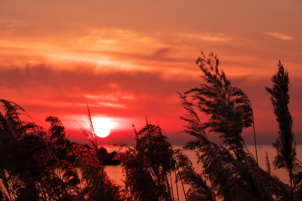 初冬の播磨灘の夕日３