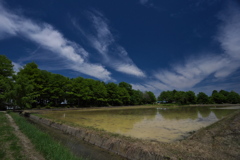 梅雨晴の天満大池公園２