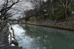 晩冬の八幡堀にて２