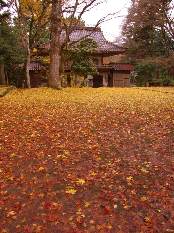 高源寺の紅葉２