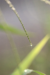 豪雨の後に