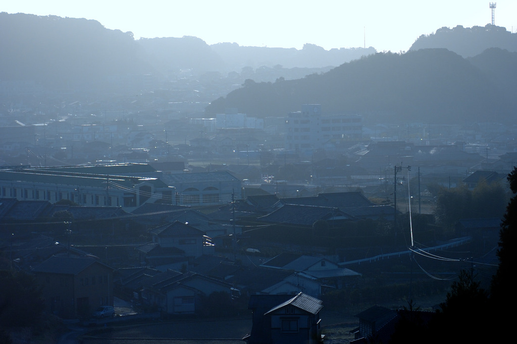 朝です。