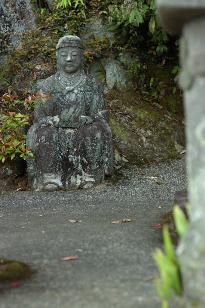 ちょっと丘の上まできました。