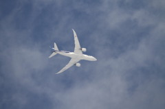 IMG_9682