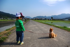 田舎にて。甥っ子。