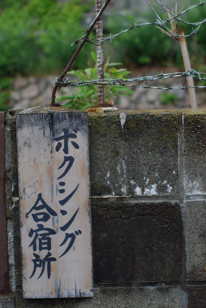 ない・・・
