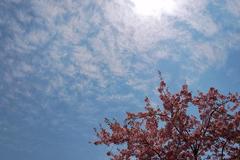 blog1
