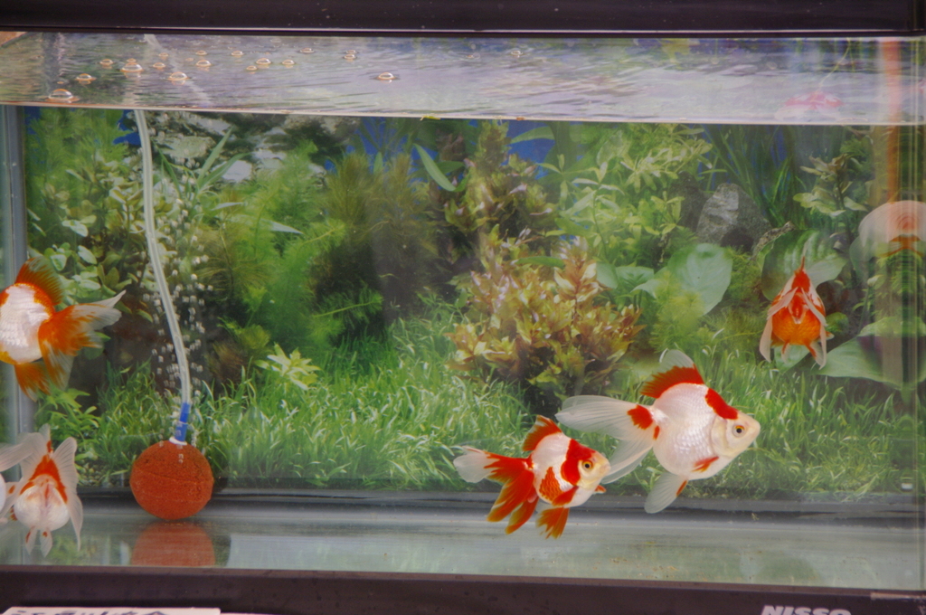 2011-032011-05-04-024