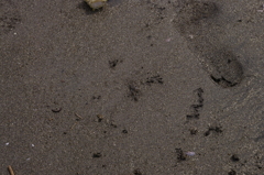 2011-062011-07-31-063