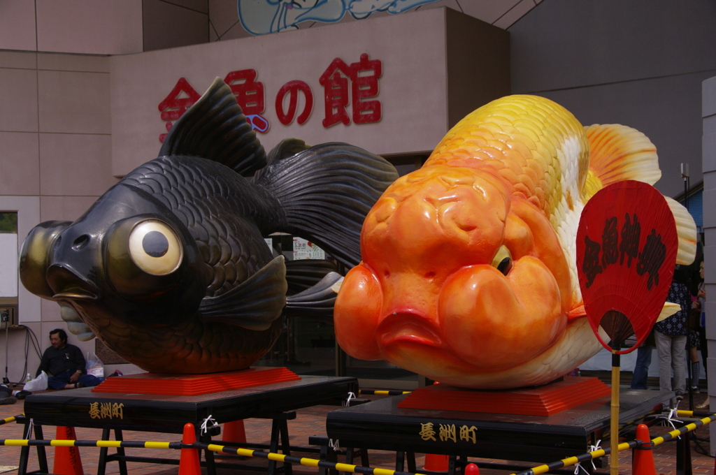 2011-012011-05-04-012