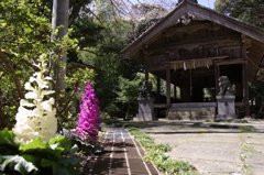 2012-132012-04-01-030