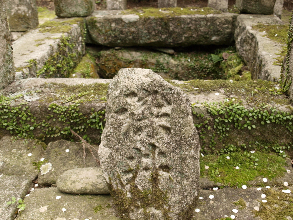 2010-152010_02_14-_2141886