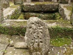 2010-152010_02_14-_2141886