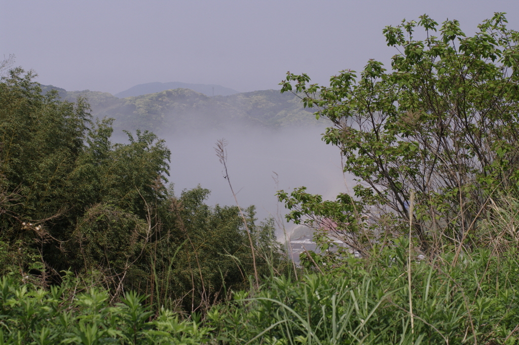 2011-012011-05-09-003