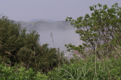 2011-012011-05-09-003