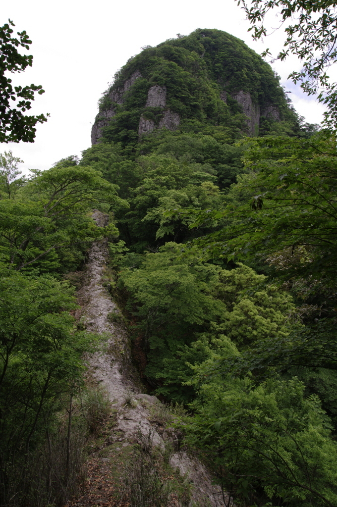 2012-012012-06-10-053