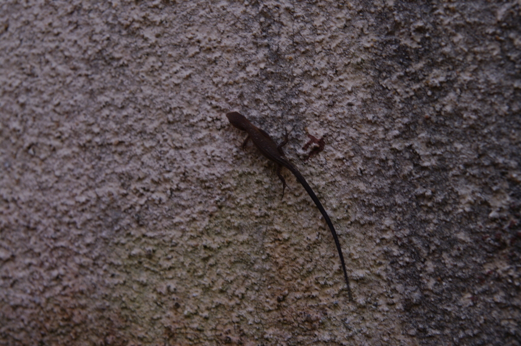 2011-102011-07-31-100