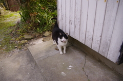 2011-172011-05-05-017