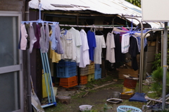 2010-112009-12-04-064