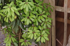 2011-122011-05-09-022