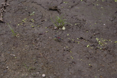 2011-042011-08-07-025