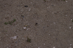 2011-022011-08-07-013