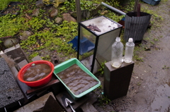 2011-072011-06-19-013