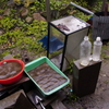 2011-072011-06-19-013