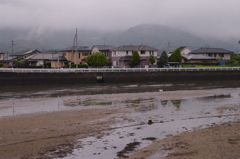 2011-162011-06-19-031