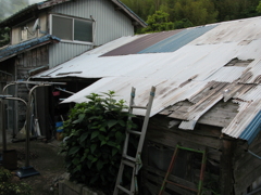 2011-122008_05_31-IMG_2959