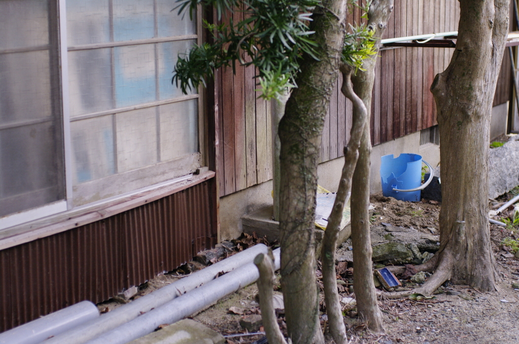 2010-132009-12-04-072