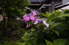 2011-142011-06-19-026