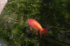 2011-042011-05-09-011