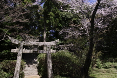 2012-122012-04-01-029