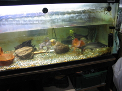 2011-082008_01_04-IMG_2173