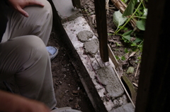 2011-072011-06-25-036