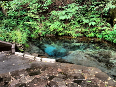 PA095060