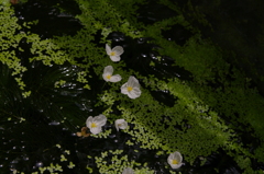 2011-022011-06-25-012