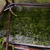 2011-062011-06-19-012