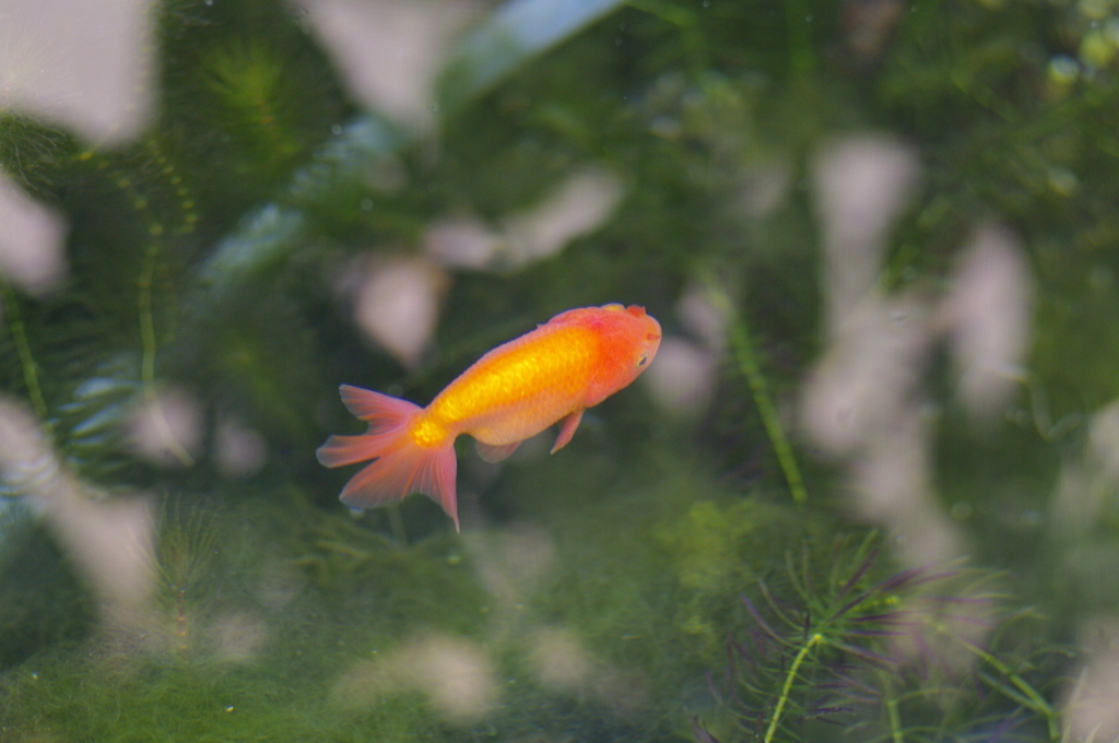 2010-102009-12-04-061