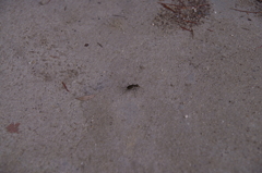 2011-092011-08-07-096