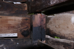 2011-082011-06-19-016