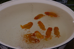 2011-022011-05-04-014