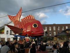 2011-062007_11_03-IMG_1686