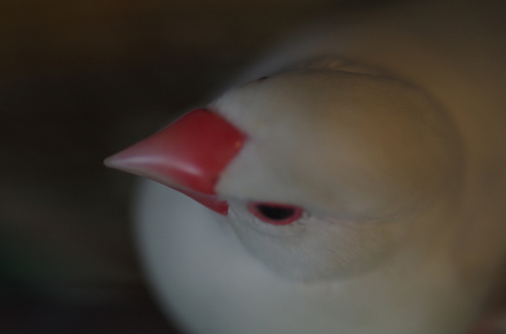 030