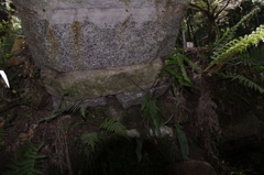 2012-112012-04-01-026