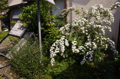 2011-052011-05-05-002