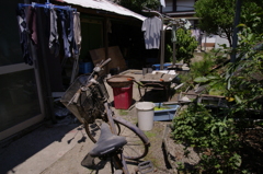 2011-022011-07-31-052