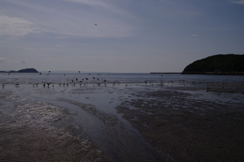 2011-072011-07-31-080