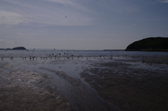 2011-072011-07-31-080